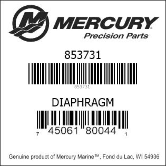 Diaphragm - Fuel Pump #4