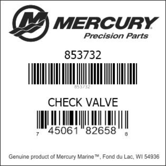 Check Valve- Fuel Pump #8