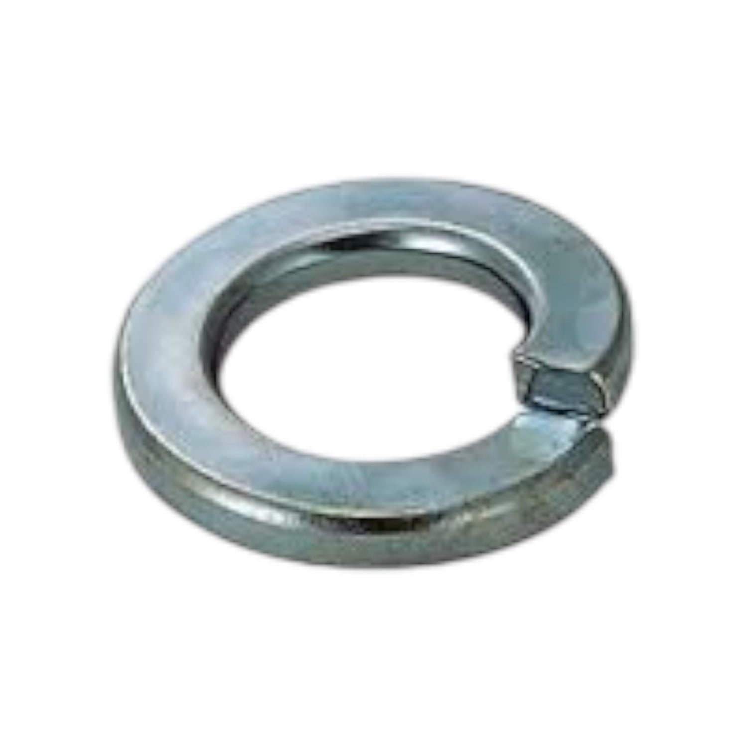 M8 316 S/S Spring Washer